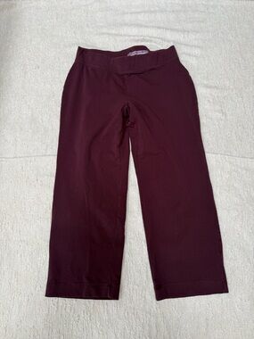 Lands’ End Starfish Straight Leg Burgundy Pants size XL READ